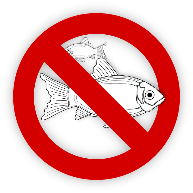 zakázané ryby